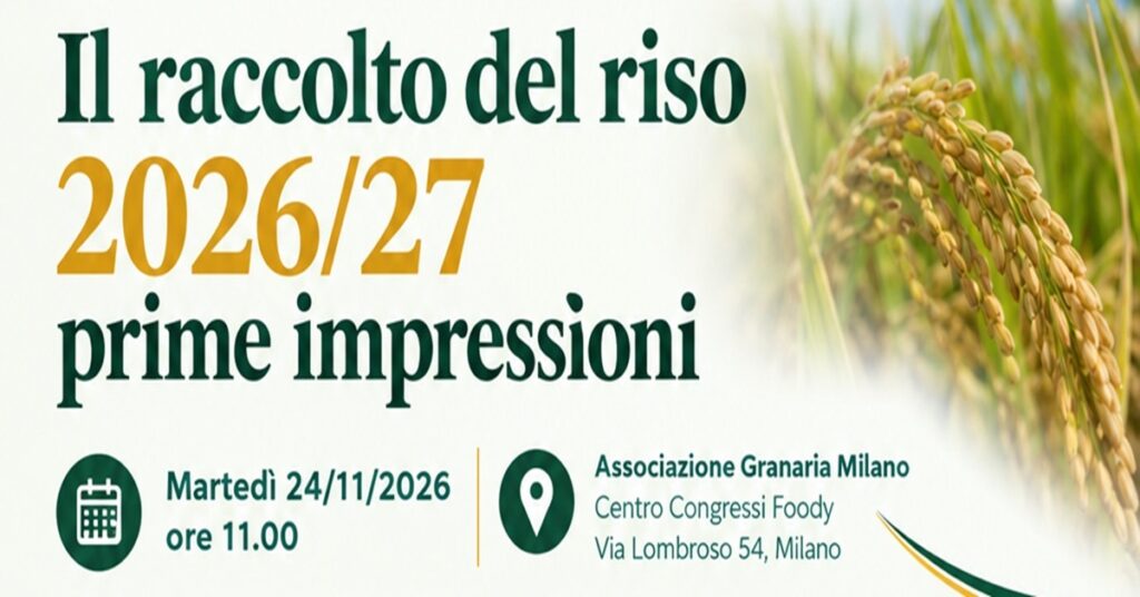 raccolto del riso header